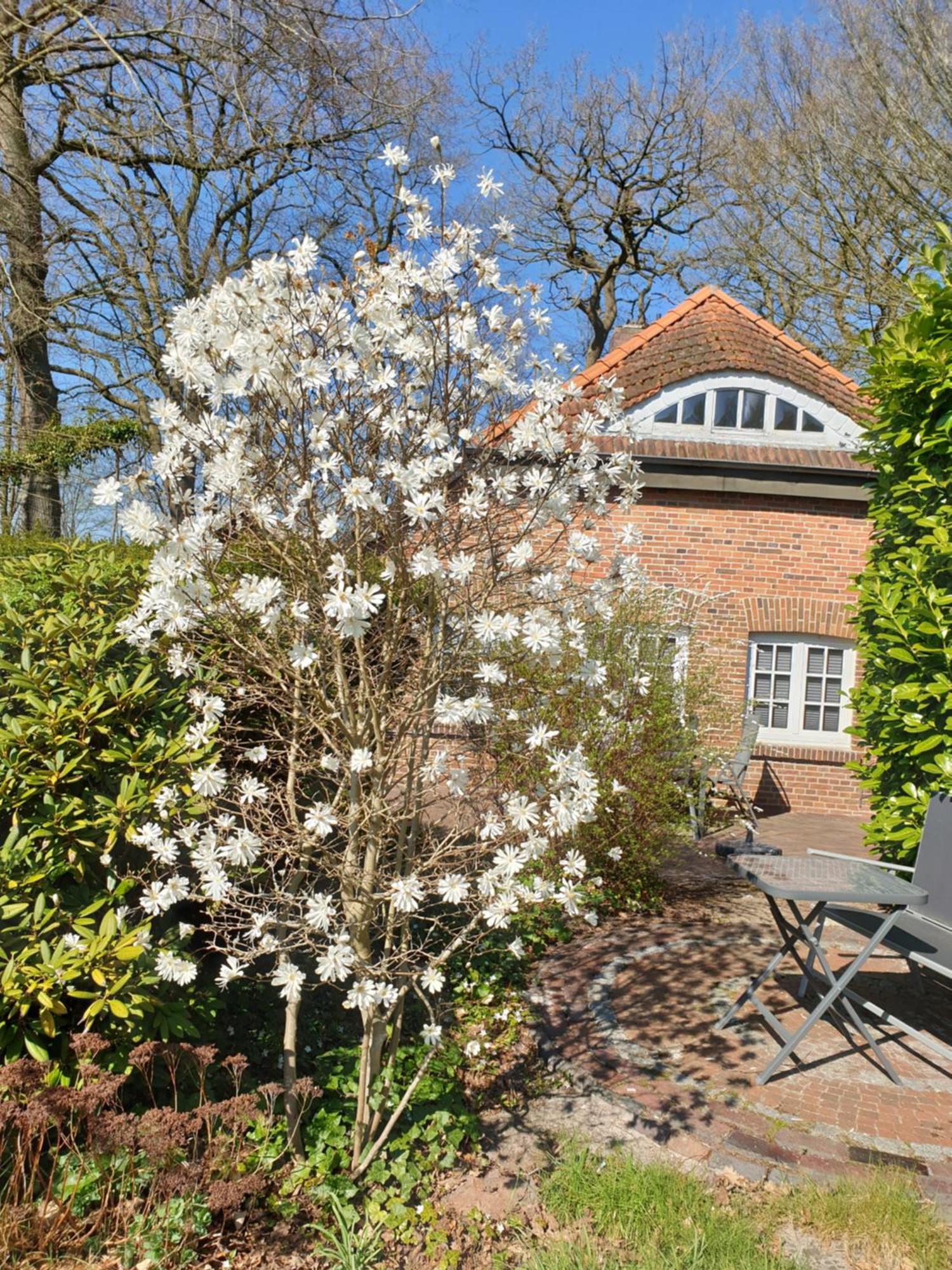 Ferienwohnung Morgensonne Westerstede Exterior foto